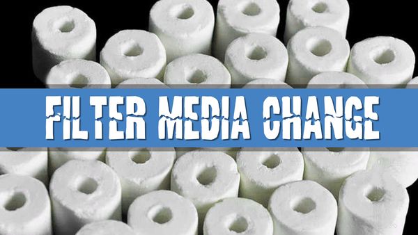 Article Photo for How often should I replace my filter media